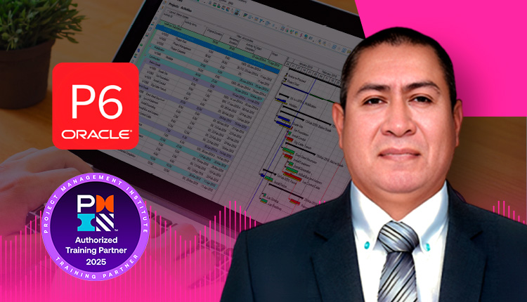 Primavera P6 Básico e intermedio Aplicado a proyectos de construcción y minería con Power BI y Risk Analysis