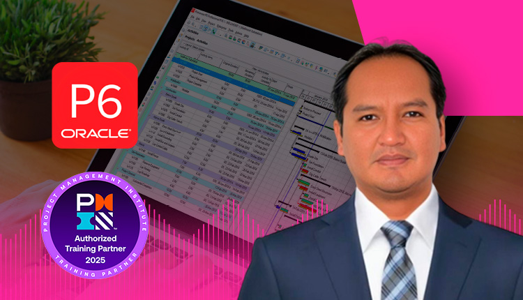 Primavera P6 Básico e intermedio Aplicado a proyectos de construcción y minería con Power BI y Risk Analysis