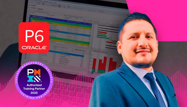 Primavera P6 Básico e intermedio Aplicado a proyectos de construcción y minería con Power BI y Risk Analysis