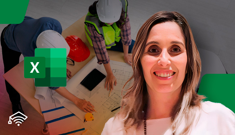 El Rol Profesional en las Obras Públicas