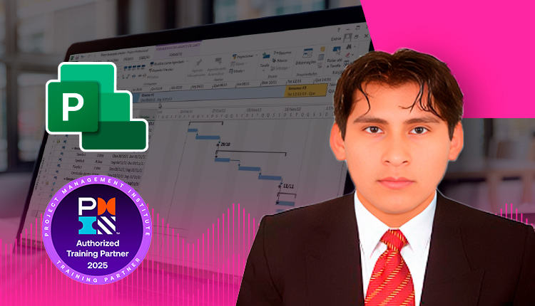 Programación de obras con Ms Project