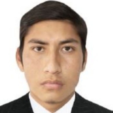 Luis Enrique Jara Solis